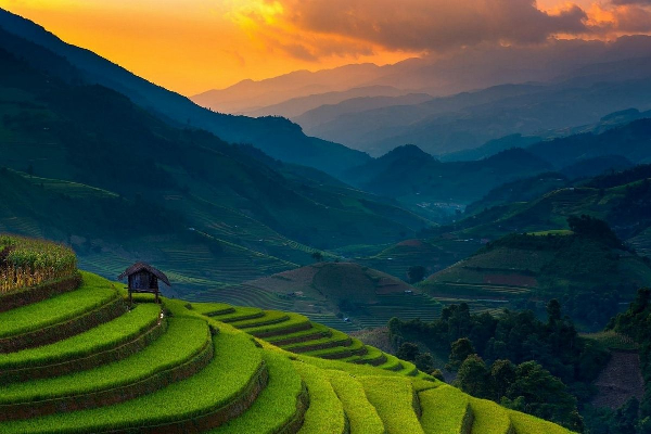 7D6N VIETNAM SAPA  HANOI HALONG MOSLEM TOUR - photo 16